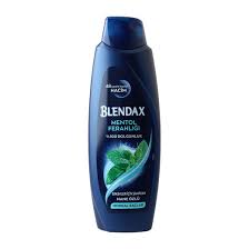 Blendax Şampuan Men Mentollü 500 Ml
